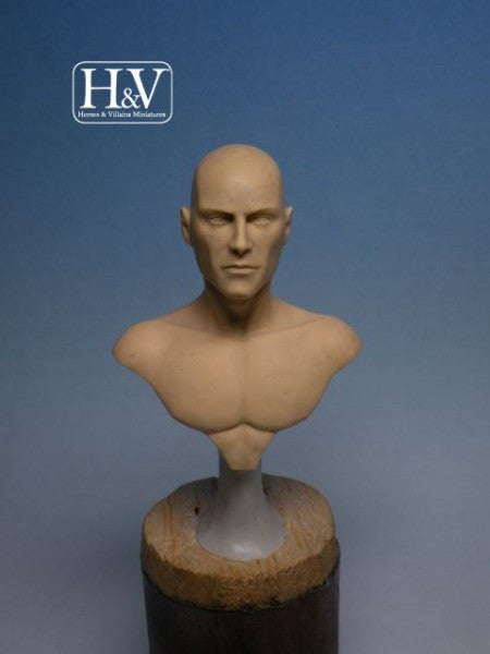 Anatomical Bust, Male