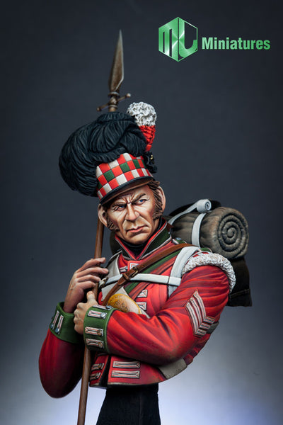 MJ10003 79th Cameron Highlander Waterloo 1815