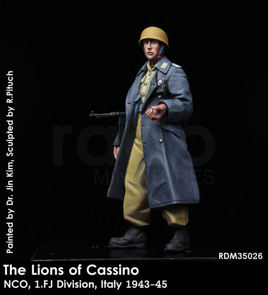 The Lions of Cassino, NCO, 1/FJ Division, Italy 1943-45
