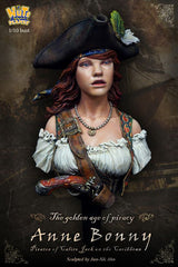 The Golden Age of Piracy Anne Bonny